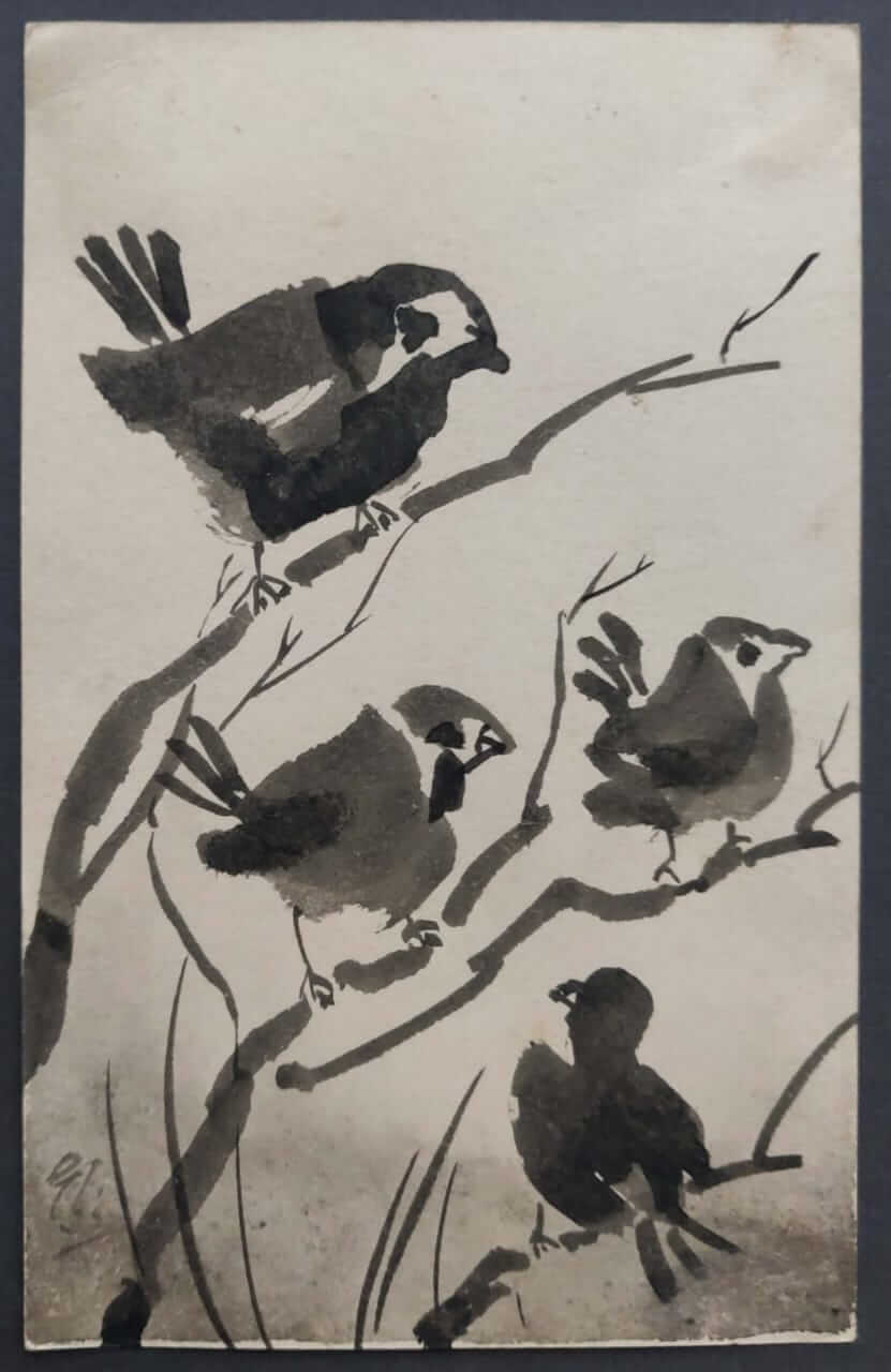 Birds